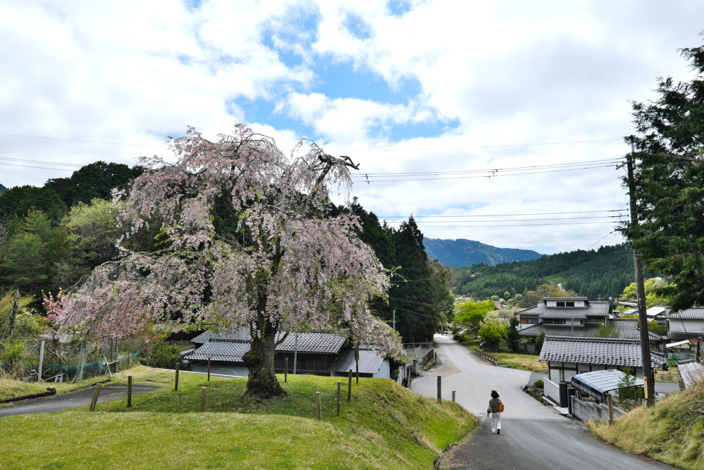 雲晴れて