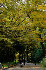 京都府立植物園3