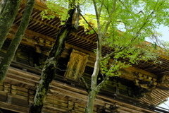 神護寺山門