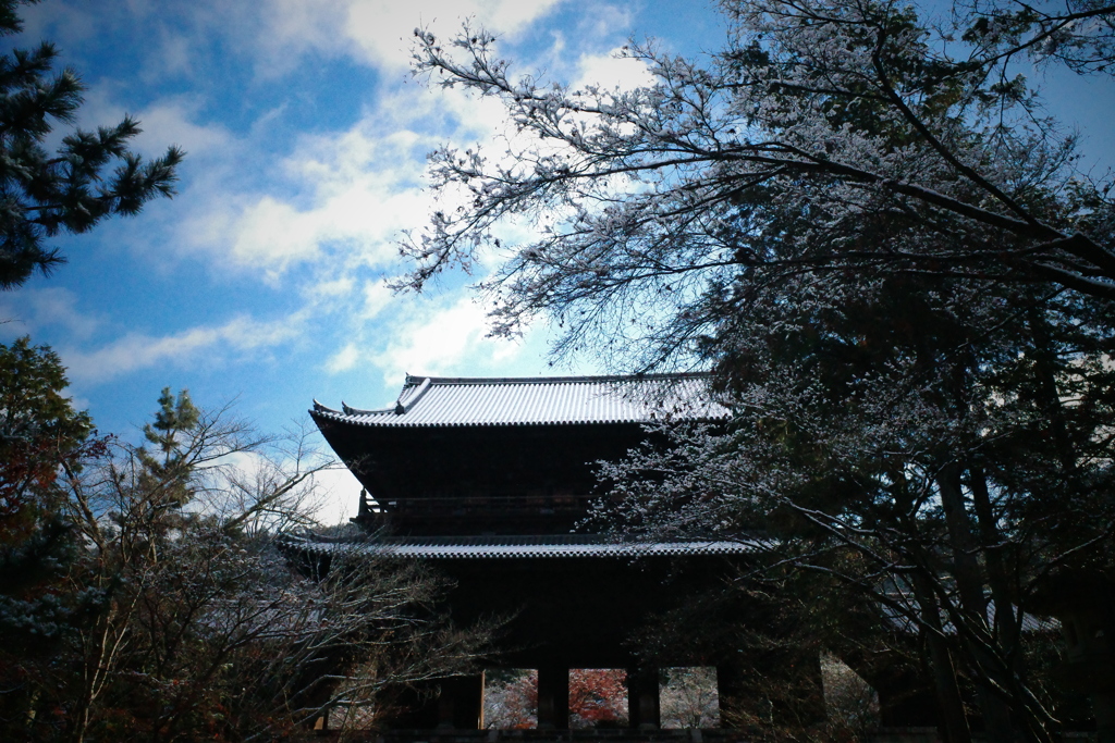 南禅寺山門2020年12月17日