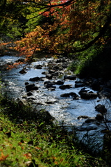 秋の小川