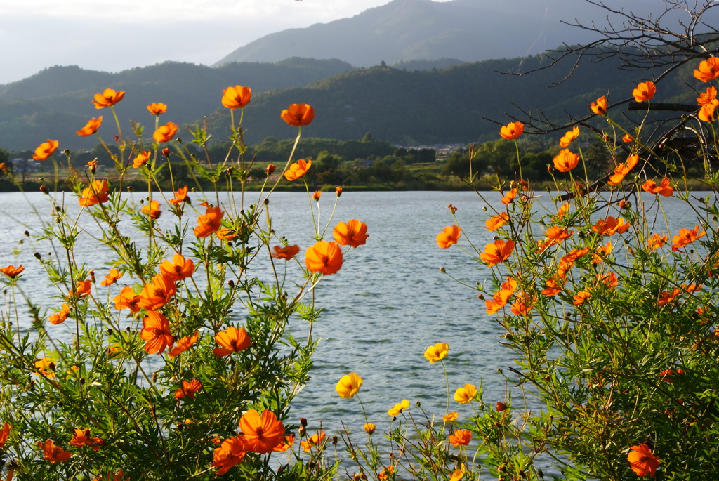 広沢の池