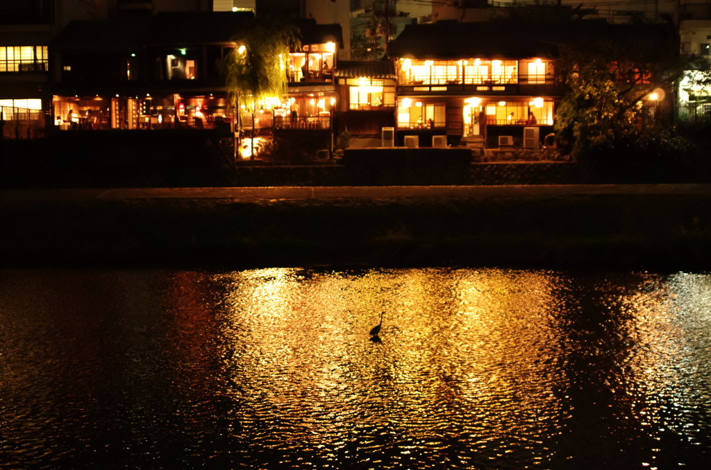 鴨川の夜