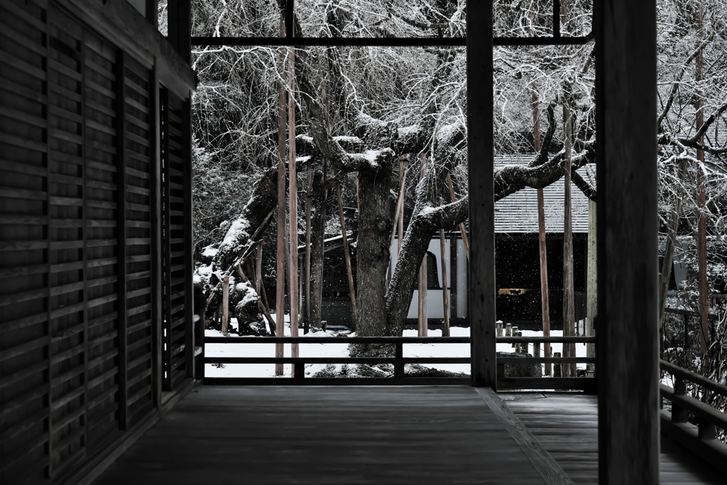 常照皇寺