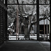 常照皇寺
