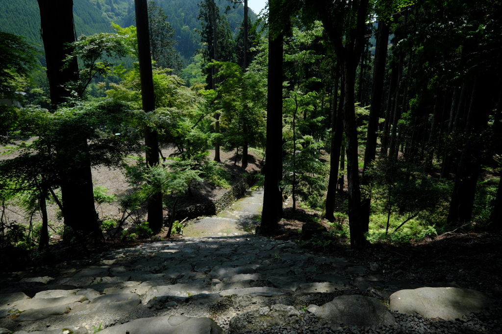 栂尾高山寺