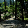 栂尾高山寺