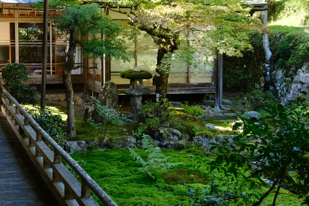 常照皇寺