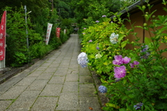 大豊神社～哲学の道～法然院　大豊神社参道