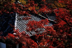 善峰寺