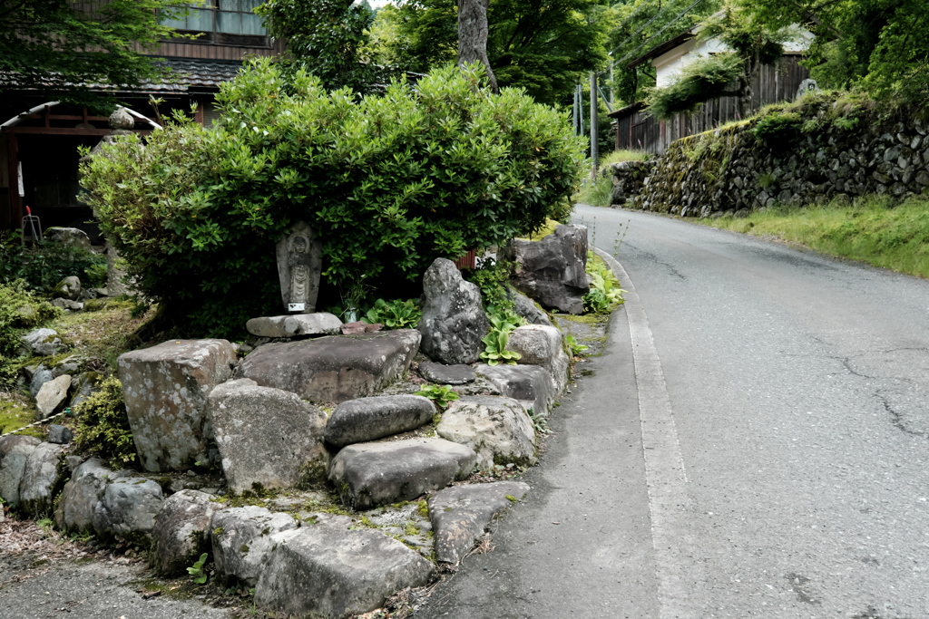 朽木能家