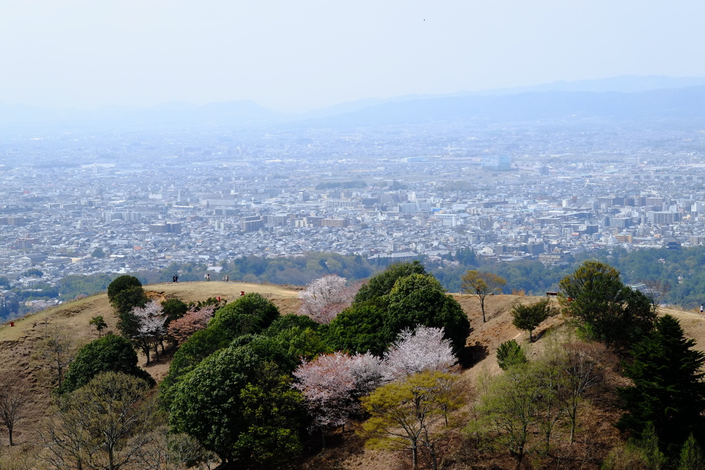 若草山山頂から