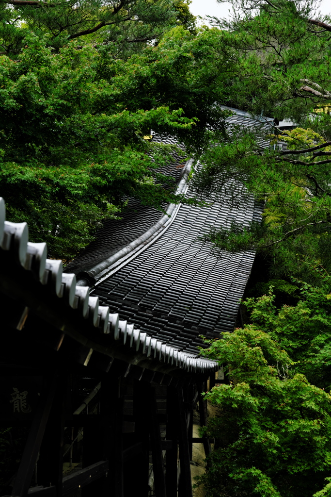 回廊