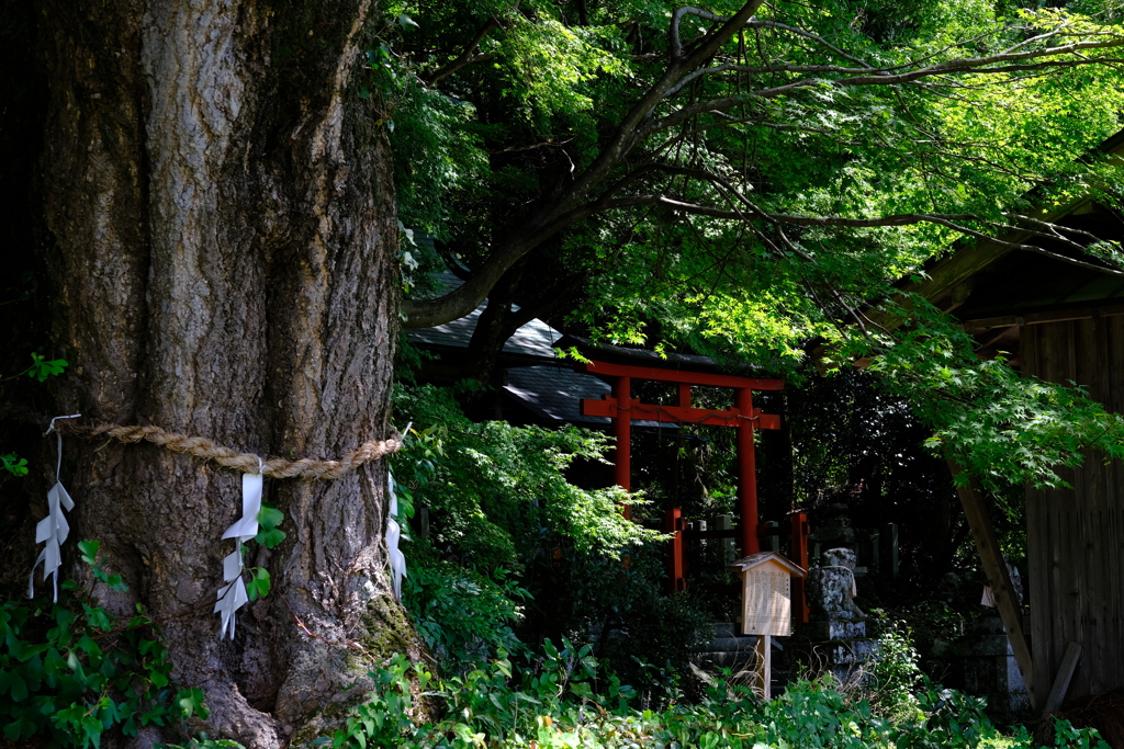 樒原四所神社