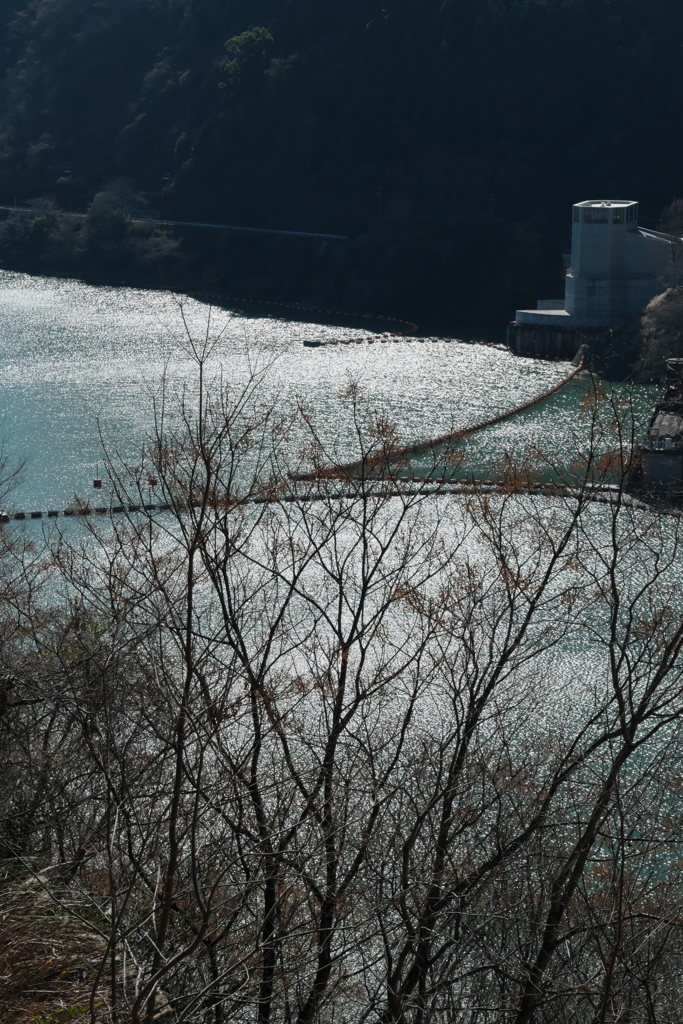 ダム湖
