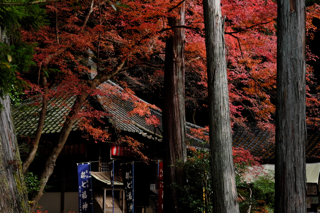 赤山禅院