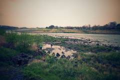 探索、喪失、雨