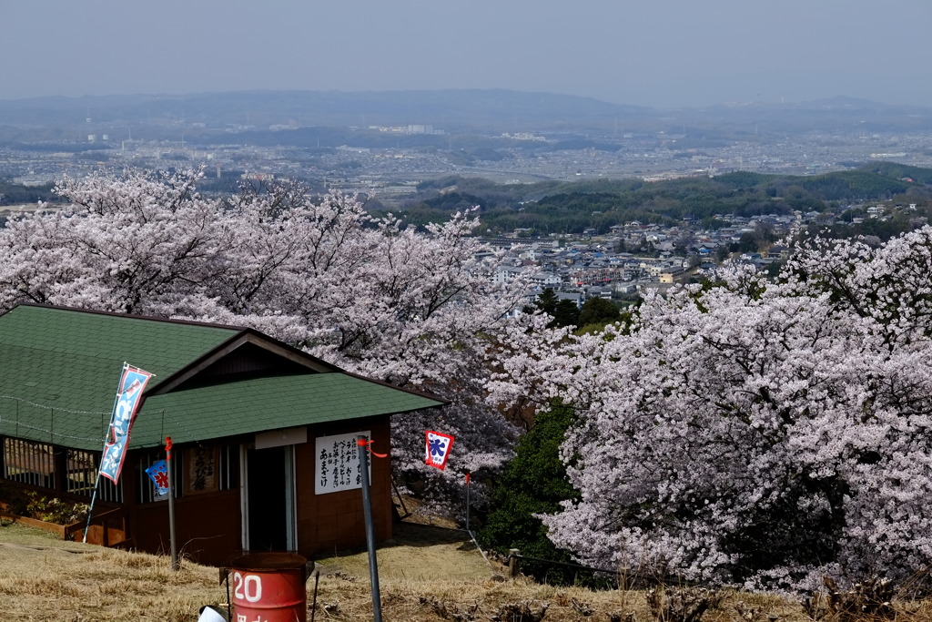 若草山山頂にて