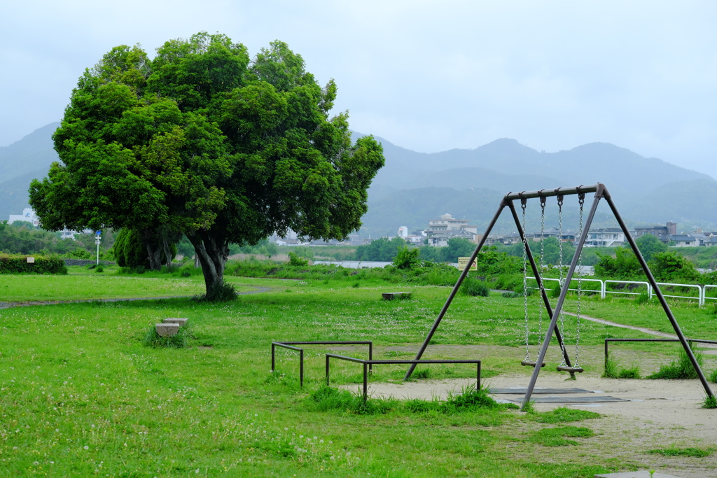 雨の公園