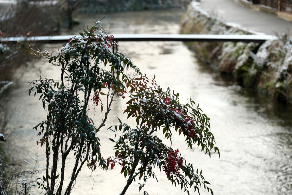 白川・3
