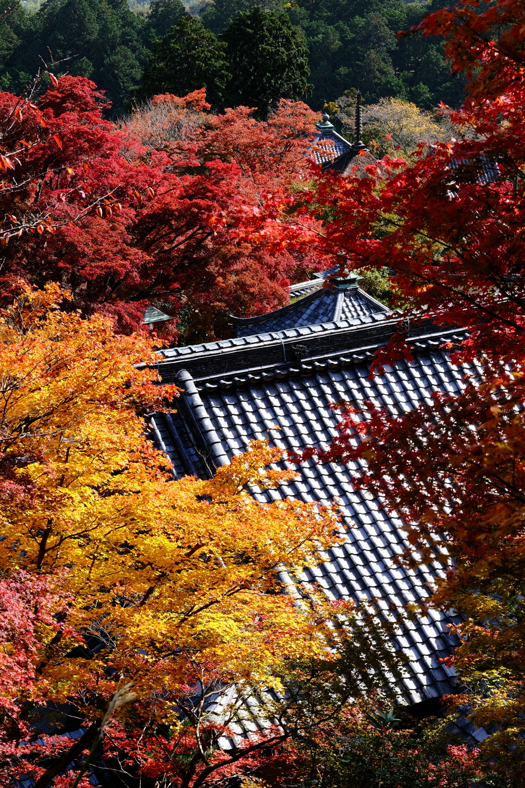 善峰寺