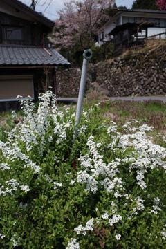 潜望鏡