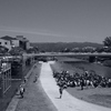 いつもの鴨川