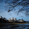 初冬の鴨川