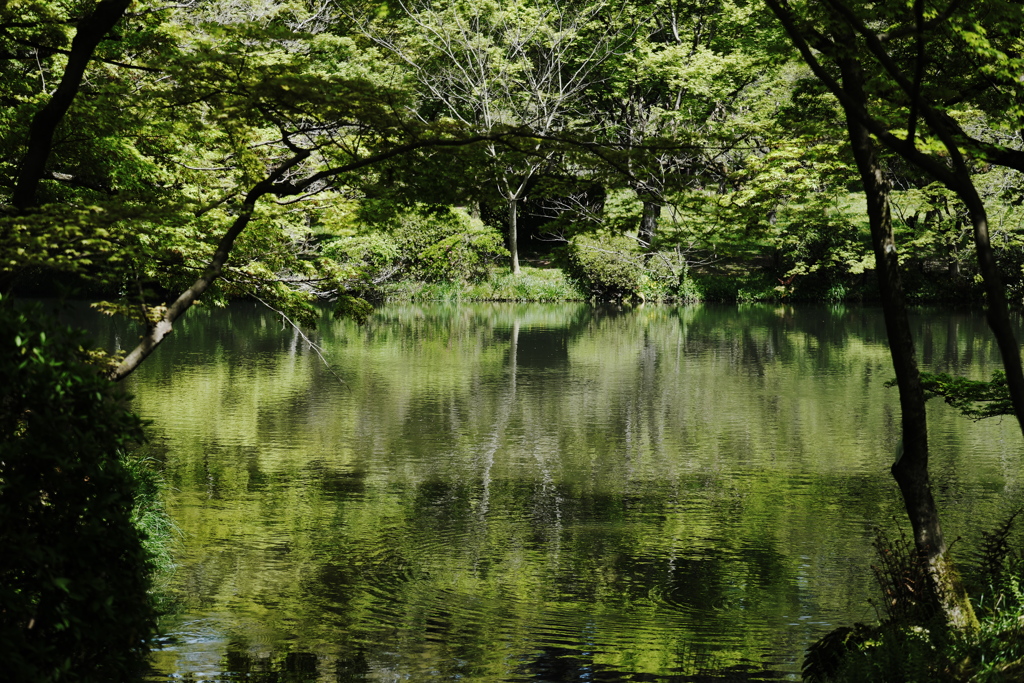 reflection