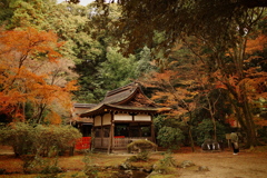 賀茂山口神社