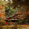 賀茂山口神社
