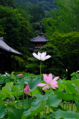 屹立