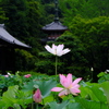 屹立