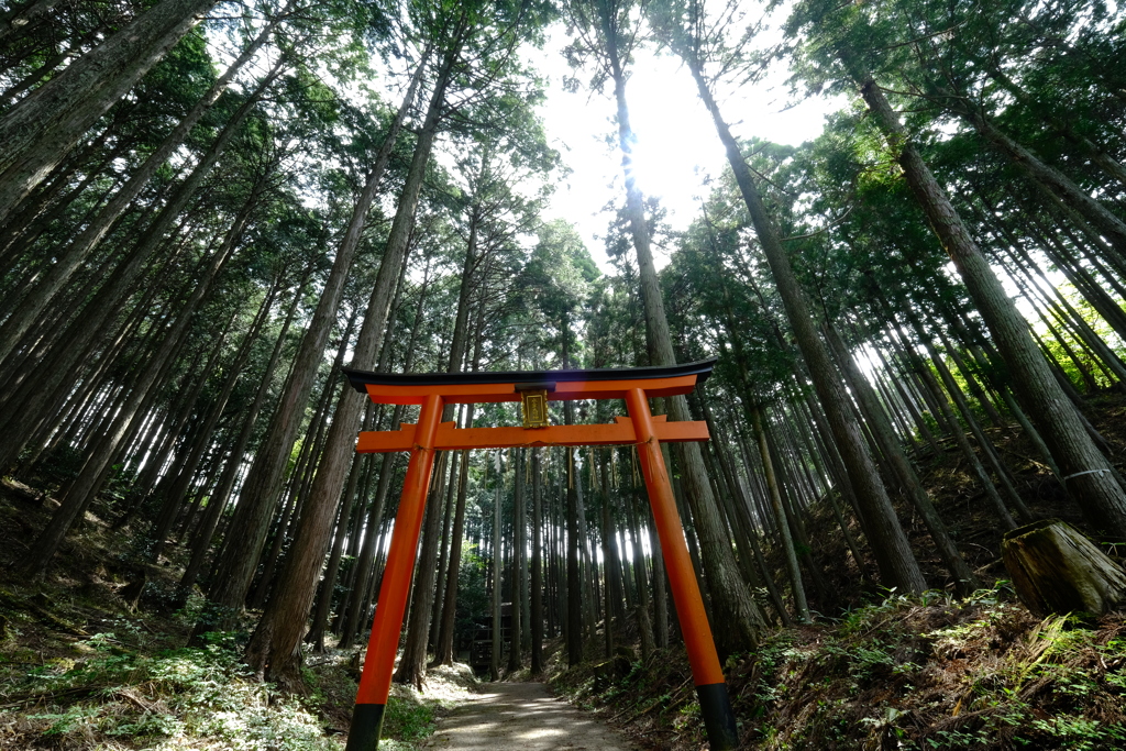 境界　氷室神社