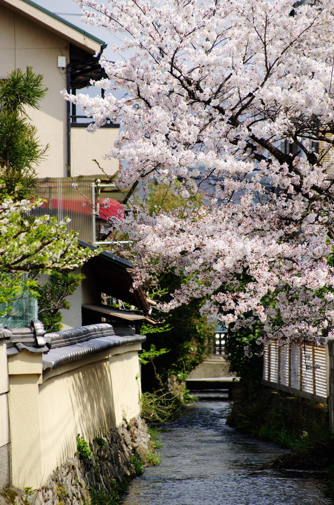 社家町