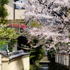 社家町