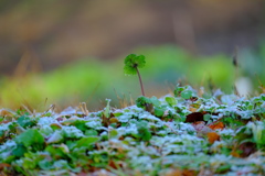 一歩抜きんでて