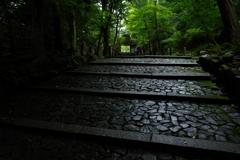 大豊神社～哲学の道～法然院　法然院参道2