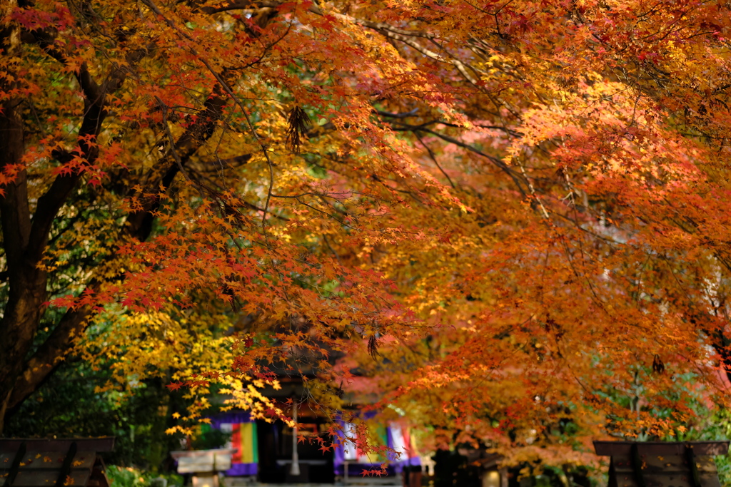 大田神社