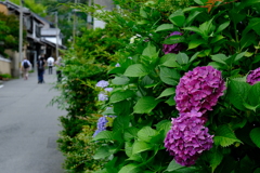 若王子神社参道