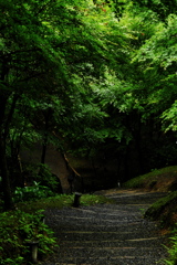 高台寺の道