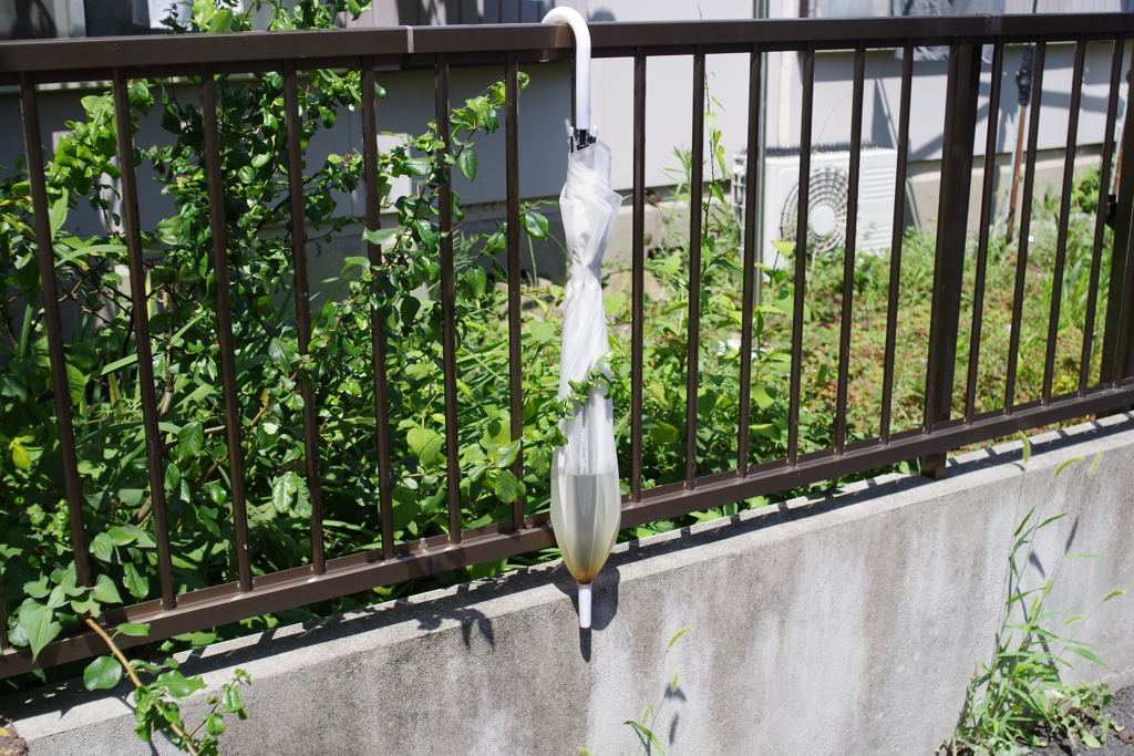 梅雨の忘れ物