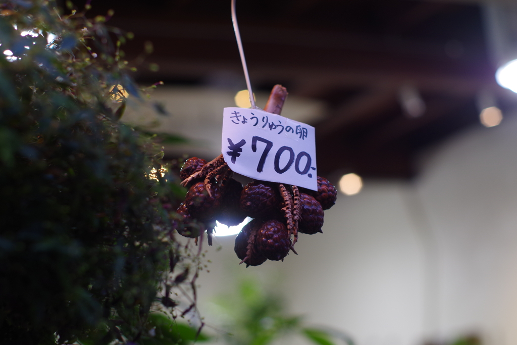 高いのか？　安いのか？？？