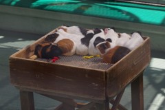 楽屋待ち　もしくは　タコ部屋