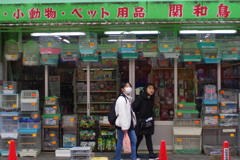 ペットショップ？　否、鳥獣店！