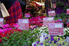 花屋もX'mas