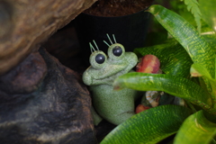 つぶら