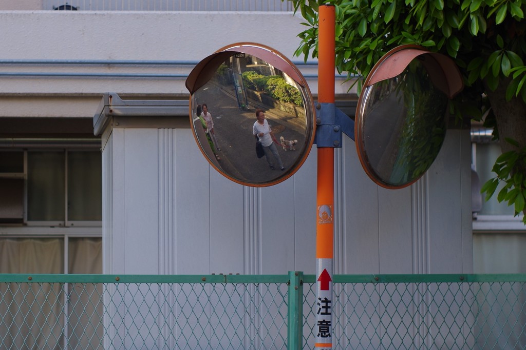 注意！犬と噂話し