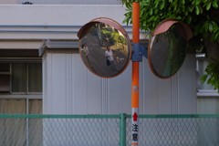 注意！犬と噂話し