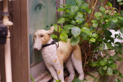 寄りかかる　イヌ